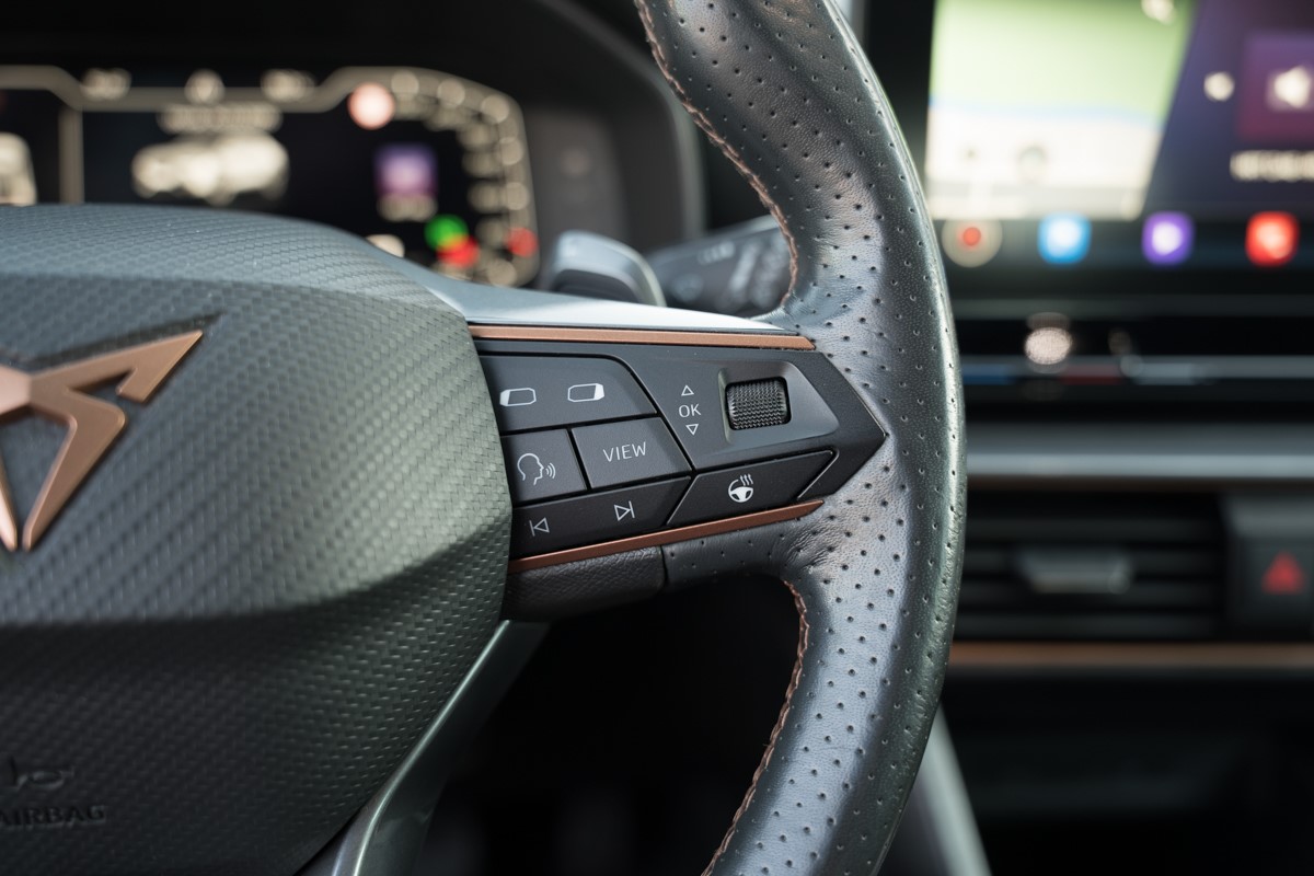 Cupra Formentor 2.0 TDI DSG 4Drive