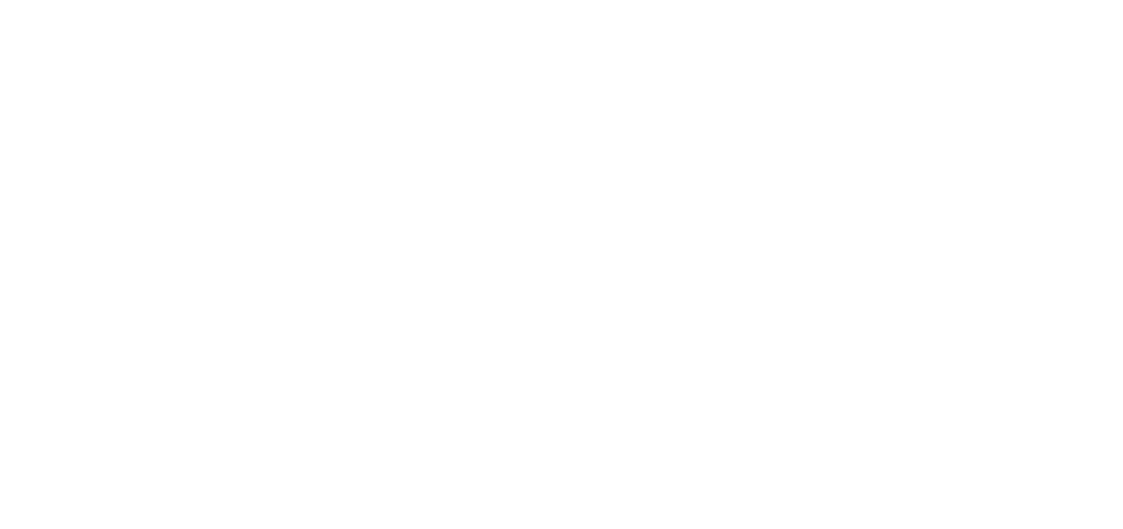 Zoom Auto Logo